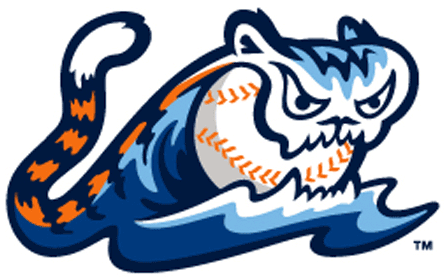 West Michigan Whitecaps 2013-Pres Alternate Logo decal supplier